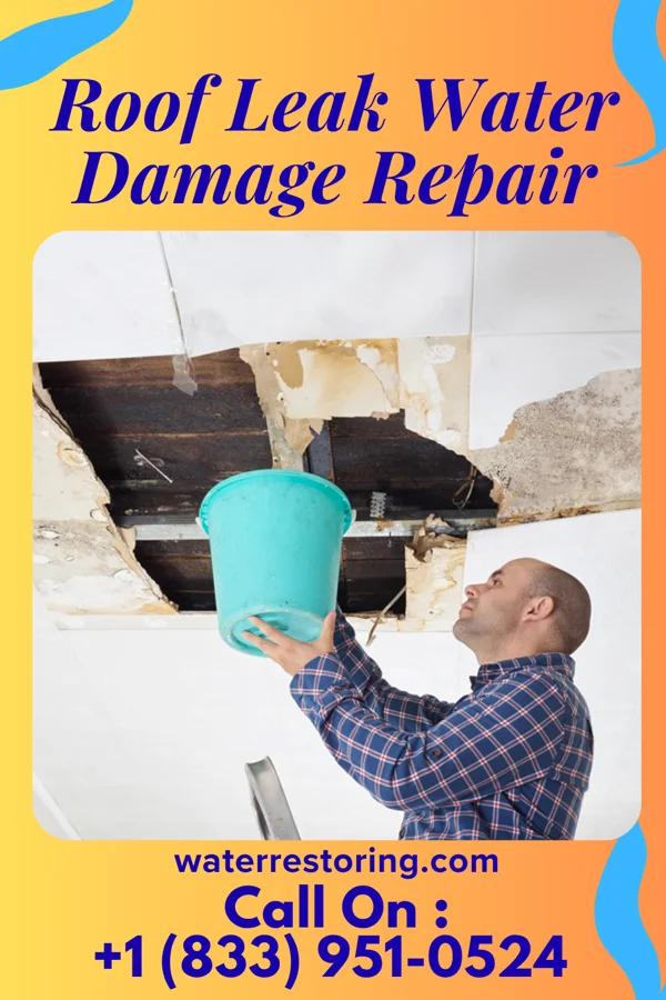 Roof Leak Water Damage Repair in Redington Shores, FL
